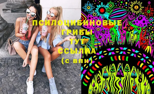 MDMA Premium VHQ Новозыбков
