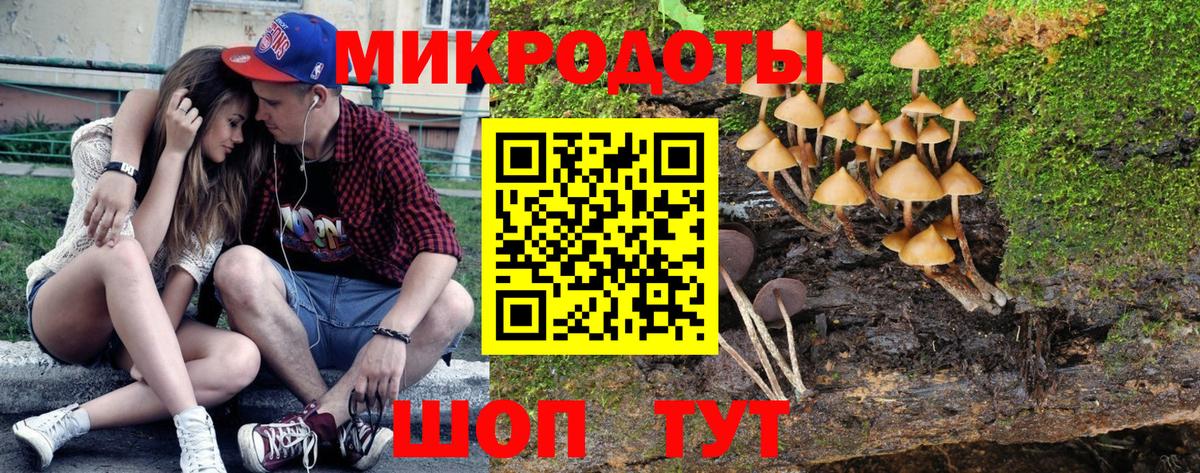 Псилоцибиновые грибы мицелий  Псилоцибиновые грибы мицелий  Вход с VPN  Липецк 