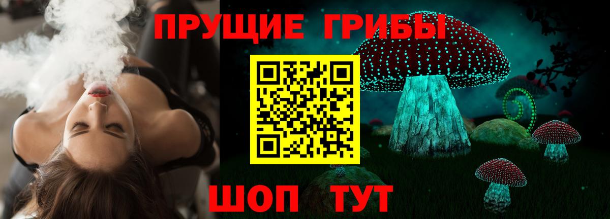 Галлюциногенные грибы Cubensis  купить   Липецк 